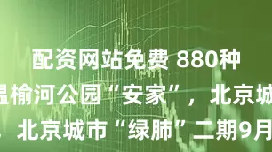 配资网站免费 880种动植物在温榆河公园“安家”，北京城市“绿肺”二期9月开放