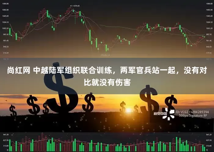 尚红网 中越陆军组织联合训练，两军官兵站一起，没有对比就没有伤害