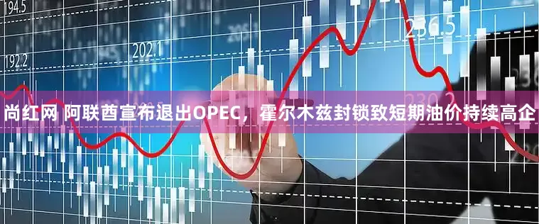 尚红网 阿联酋宣布退出OPEC，霍尔木兹封锁致短期油价持续高企